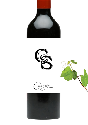 Logo Design by LOC-I-EYE Creative Solutions for Costanzo & Sons | Design: #4651015