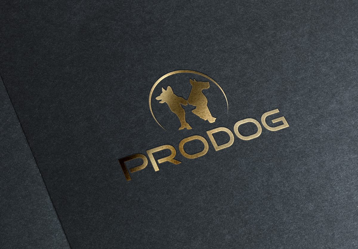 Logo Design by Creativdiz for this project | Design #4655087