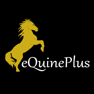 Logo Design by Divine Design