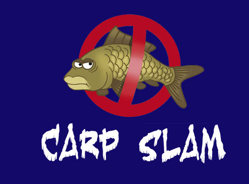 Logo Design by Thomas Adam for Denver Trout Unlimited | Design #222697