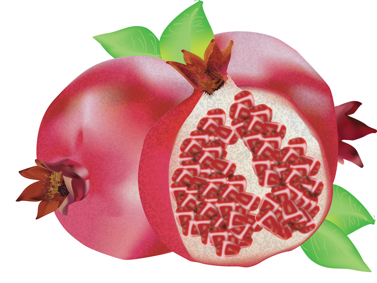 Illustration-Design von roopaljain für Tee & Co Ltd | Design #1349227