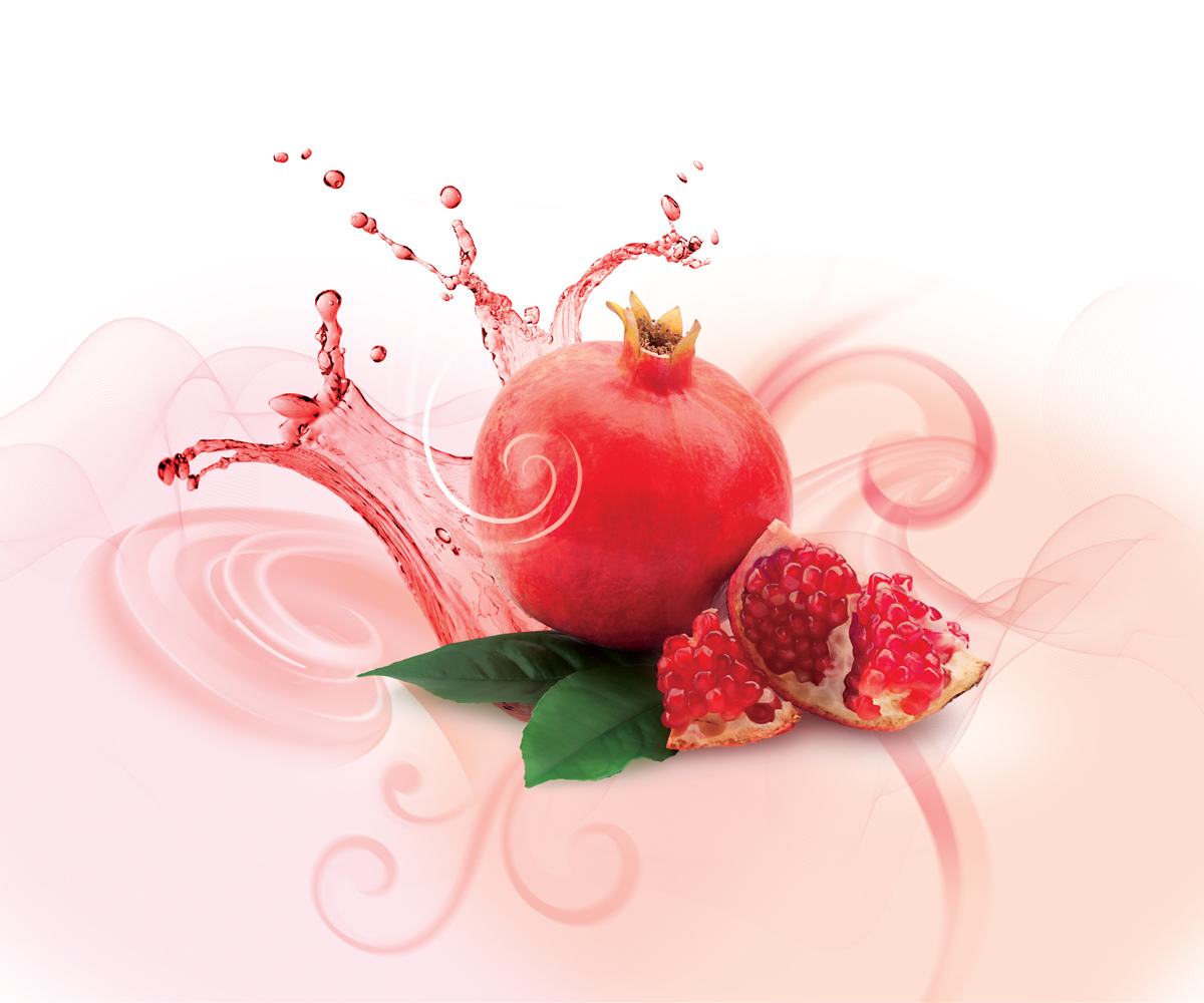 Illustration-Design von Anicata für Tee & Co Ltd | Design #1313950