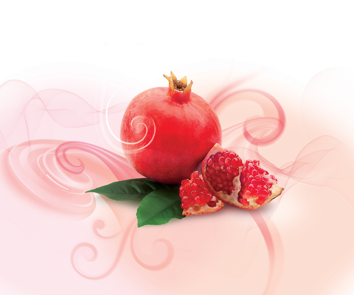 Illustration-Design von Anicata für Tee & Co Ltd | Design #1315531