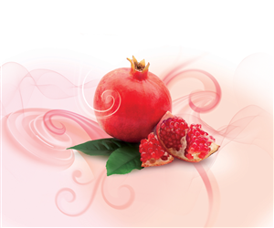 Illustration Design by Anicata for Tee & Co Ltd | Design: #1315531