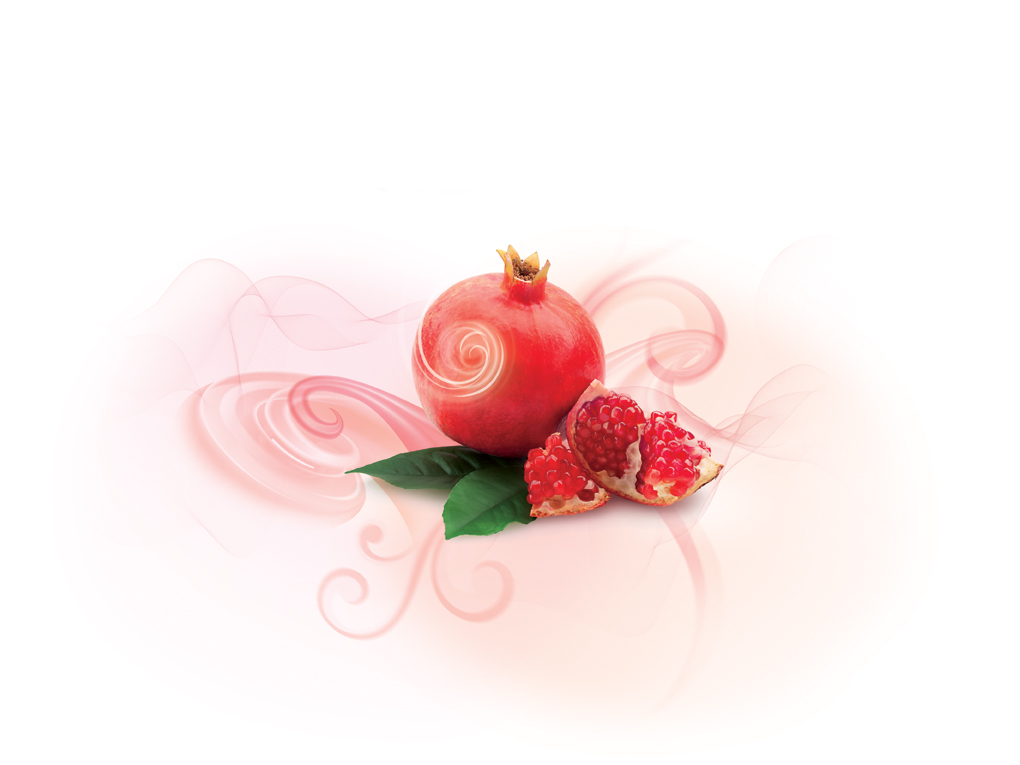 Illustration Design by Anicata for Tee & Co Ltd | Design #1380073