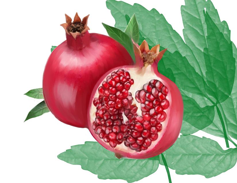 Design Illustration par sdrum pour Tee & Co Ltd | Design #1321226