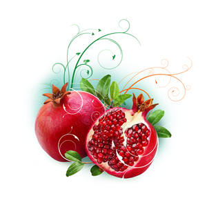 Illustration Design by Creative Faves for Tee & Co Ltd | Design: #1319063