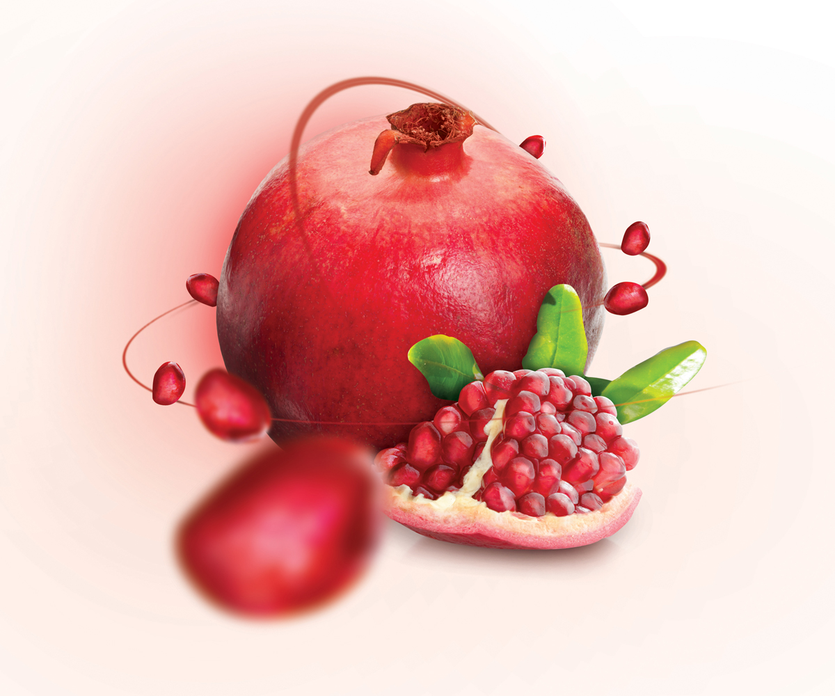 Design Illustration par Peter Le Vannais pour Tee & Co Ltd | Design #1367860