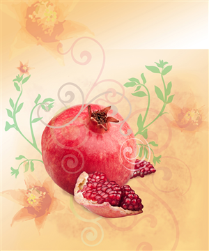 Illustration Design by Sue