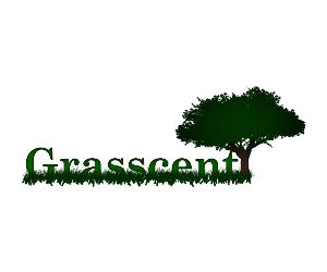 Logo Design by Qdesigns