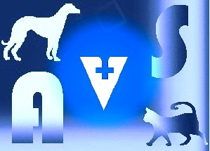 Logo Design by termiontor
