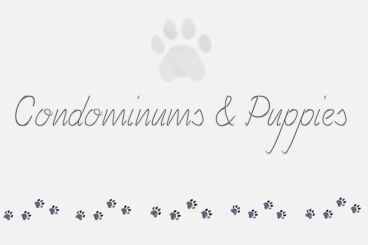 Logo Design by Sara for this project | Design #1313514