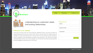 Web Design by Shine