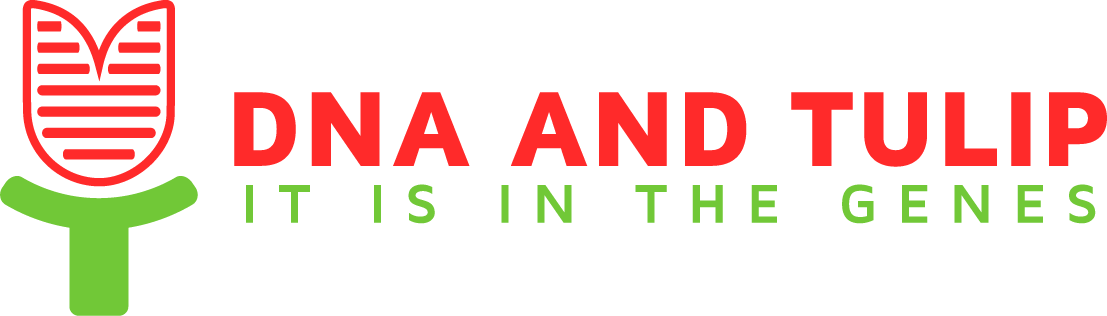 Logo Design by binnyagrawal for this project | Design #4626043