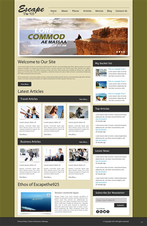 Web Design by pb for Tyler Consulting | Design: #1316637