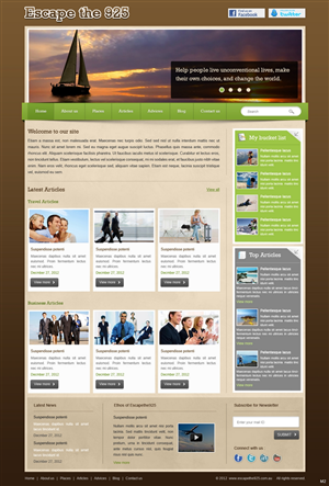 Web Design by pb for Tyler Consulting | Design: #1316654
