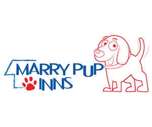 Logo Design by icessss