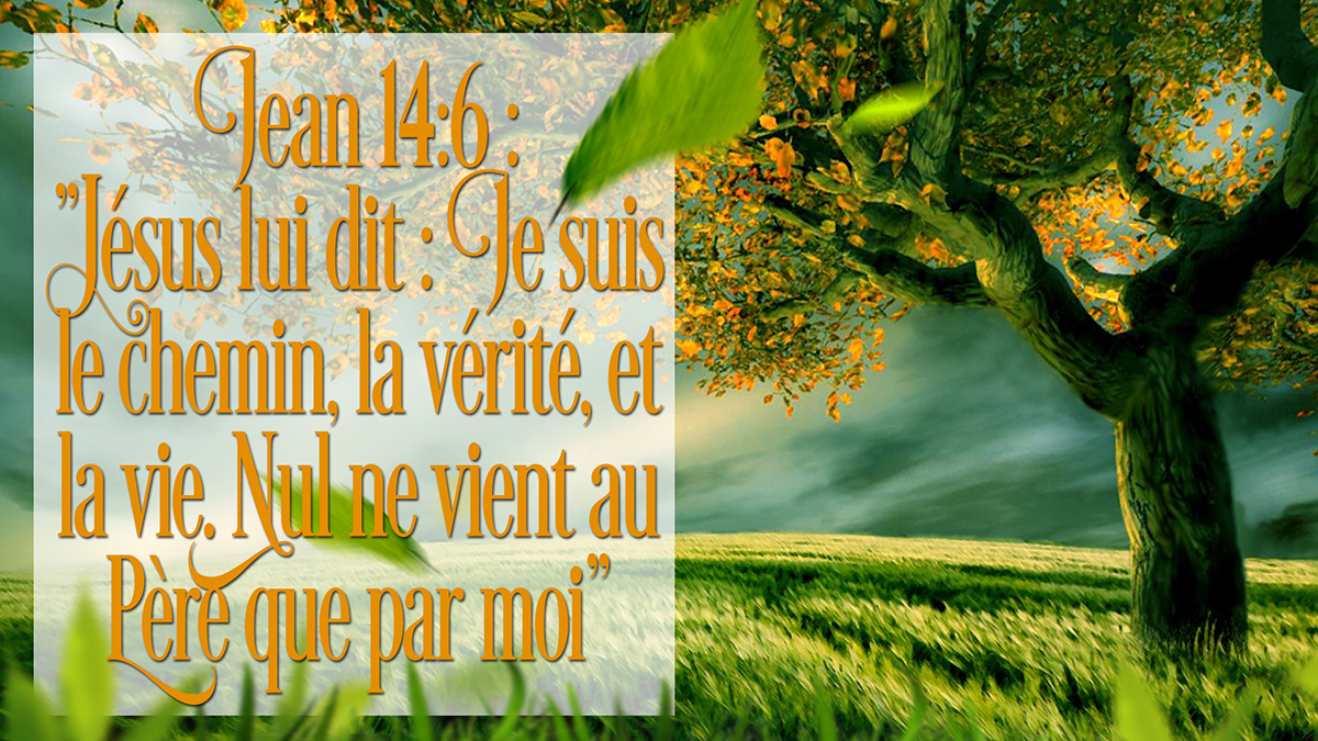 Contest winning design