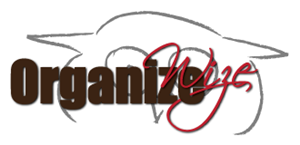 Logo Design by CraziiGirlDesigns
