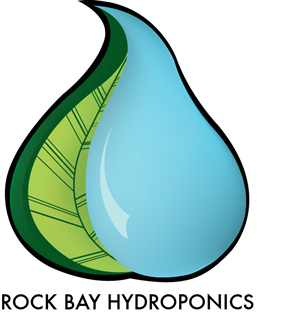 Logo Design by Kelsey