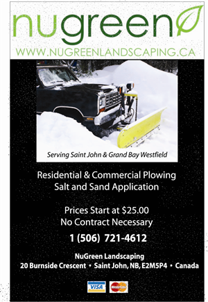 Advertisement Design by Susie Basso