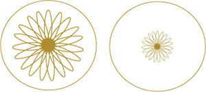 Diseño de Logo por Fayecita para Radiant Cosmetics | Diseño: #215894