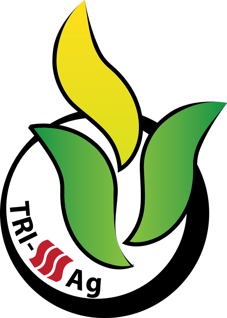 Logo Design by Bolshoi Creations for this project | Design #1331128