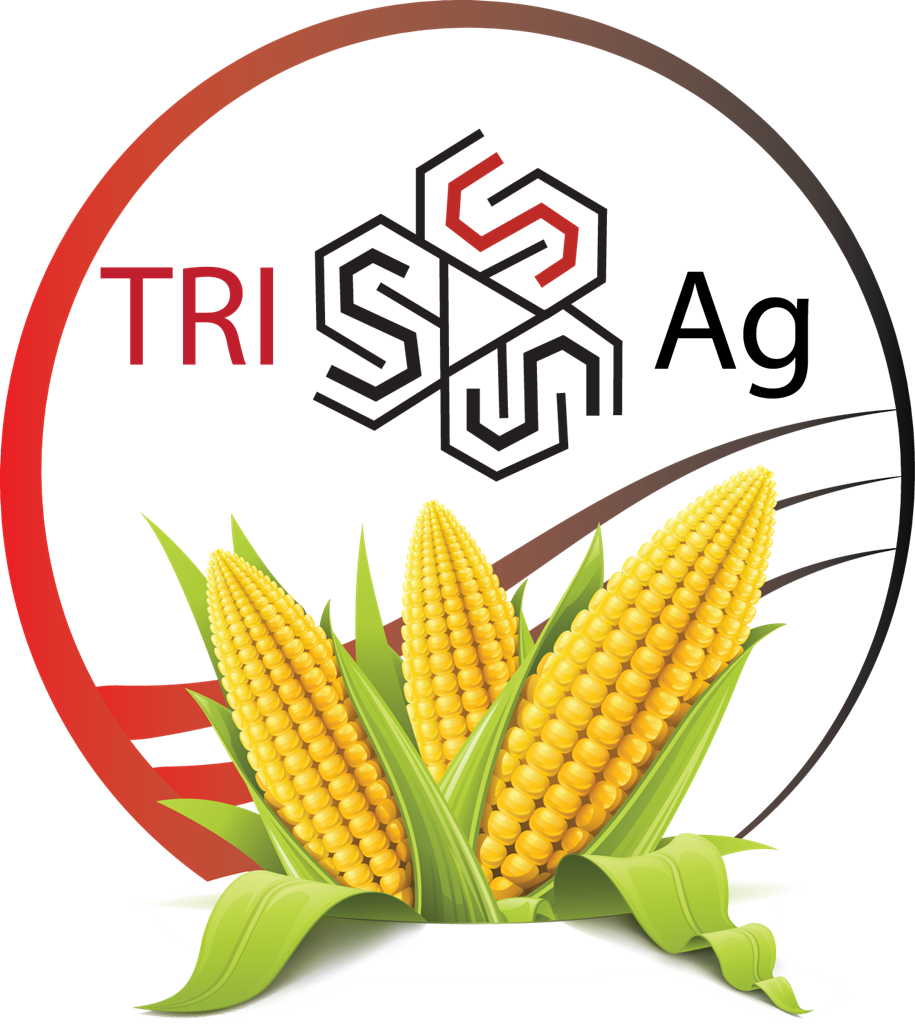 Logo Design by Bolshoi Creations for this project | Design #1352288