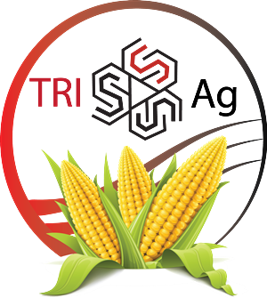 Logo Design by Bolshoi Creations for this project | Design: #1352288