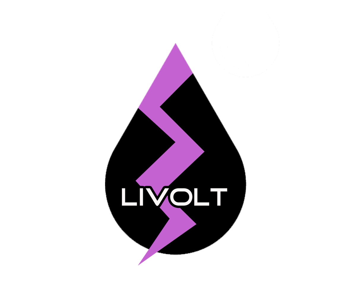 Logo Design by Bolshoi Creations for this project | Design #1313722