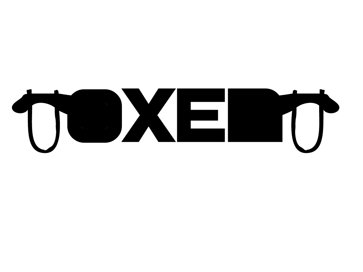 Logo Design by Icezickle for Dreamlight Entertainment | Design #2237648