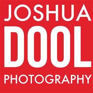 Logo Design by julie bee designs for Joshua Dool Photography | Design: #4637474