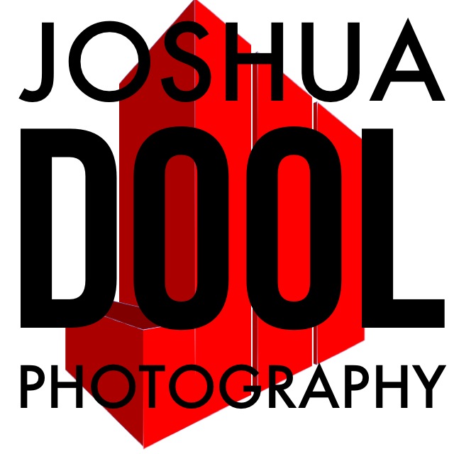 Logo Design by julie bee designs for Joshua Dool Photography | Design #4638430