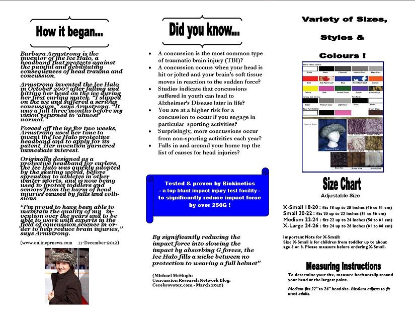 Brochure Design by V.H. for Ice Halo Ltd. | Design #1398323