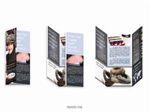 Design de Brochure par PIPER33 pour Ice Halo Ltd. | Design : #1344335