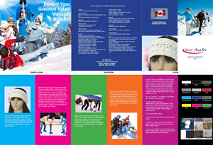 Brochure Design by Jason Vantran for Ice Halo Ltd. | Design #1314571