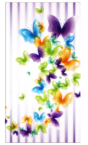 Graphic Design by Soula Vetter