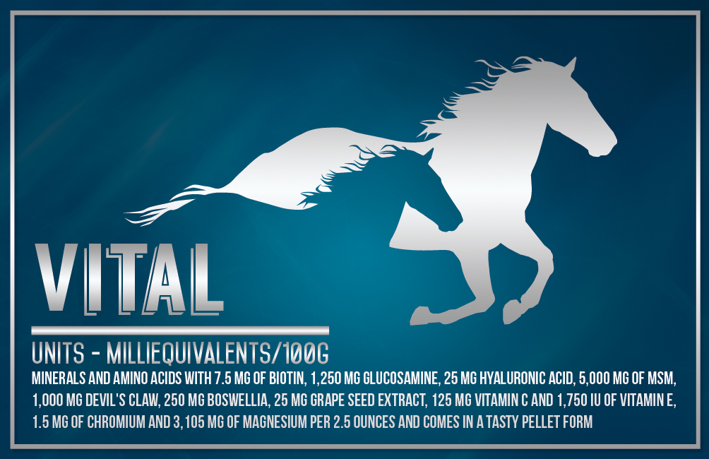 Diseño de Etiqueta por karixen para este proyecto | Diseño #4681292