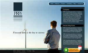 Website for a financial survey consultancy | Web Design by webwinner