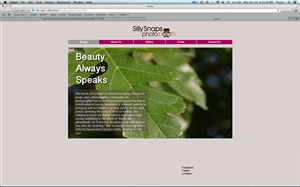 Web Design by Tanvir Akhtar for this project | Design: #4730977