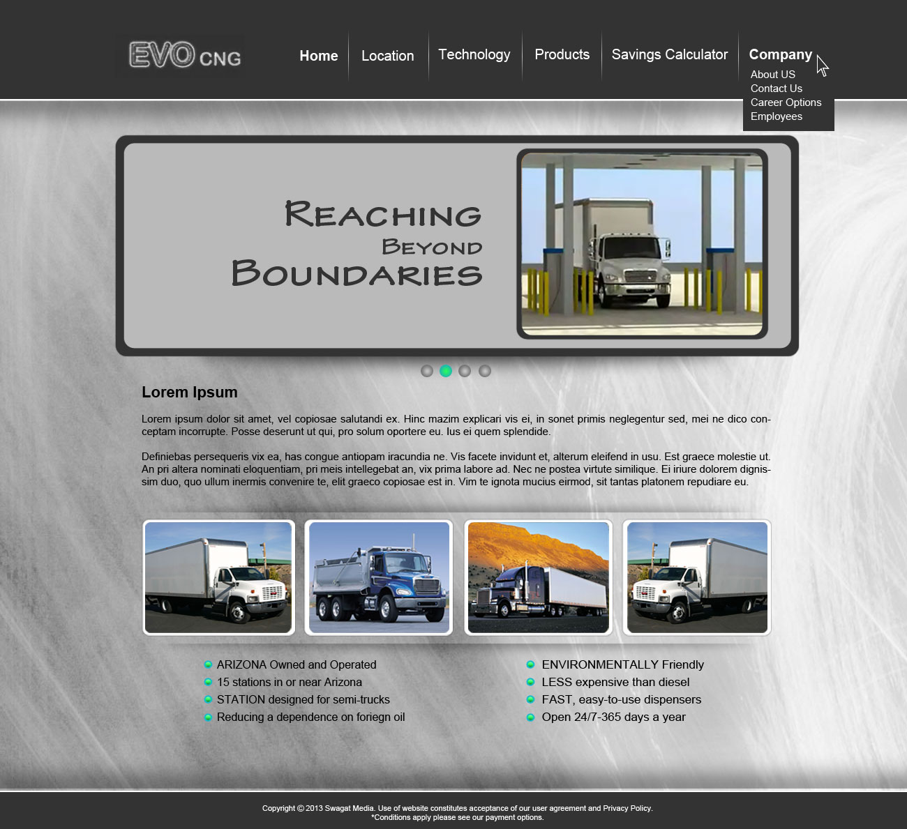 Web Design par viral shah pour ce projet | Design #1366084
