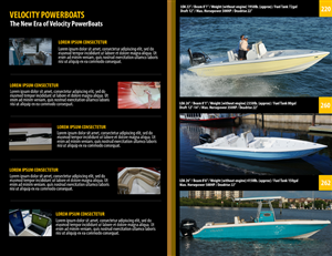 Brochure Design by an3 for this project | Design: #4676062