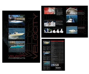 Brochure Design by alotarenata for this project | Design: #4672172