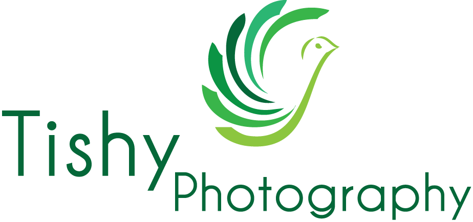 Design de Logo par Mudassir Khan pour ce projet | Design #1351933