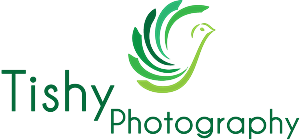 Logo Design by Mudassir Khan for this project | Design: #1351933