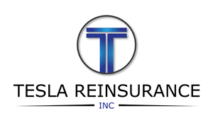 Logo Design by krapu