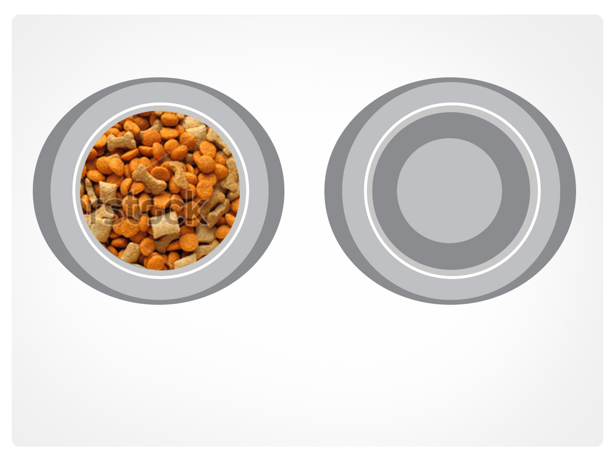 Illustration Design by Vicez for this project | Design #4786073