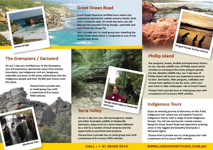 Brochure Design by rkailas for this project | Design #1330160