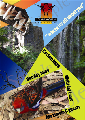 Brochure Design by Sunny abghila for this project | Design: #1323513