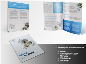 Brochure Design by Cech